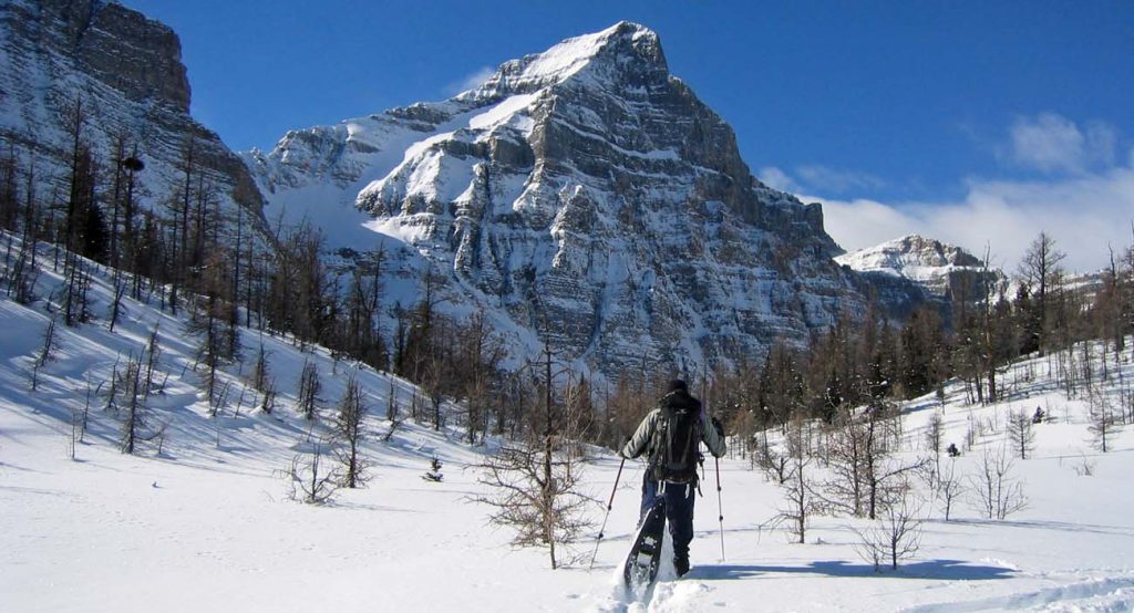Snow Shoeing Canadian Rockies