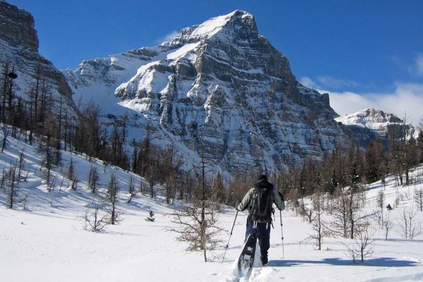 Snow Shoeing Canadian Rockies