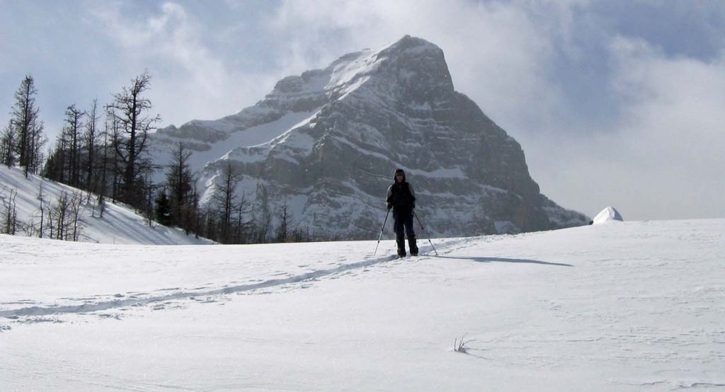 Snow Shoeing Canadian Rockies