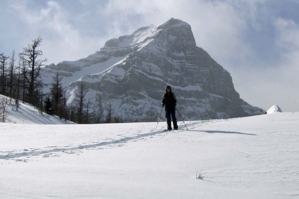 Snow Shoeing Canadian Rockies