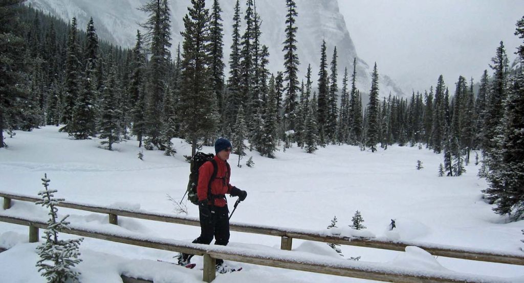 Snow Shoeing Canadian Rockies