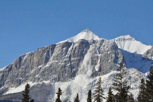 Avalanche Courses: AST 1