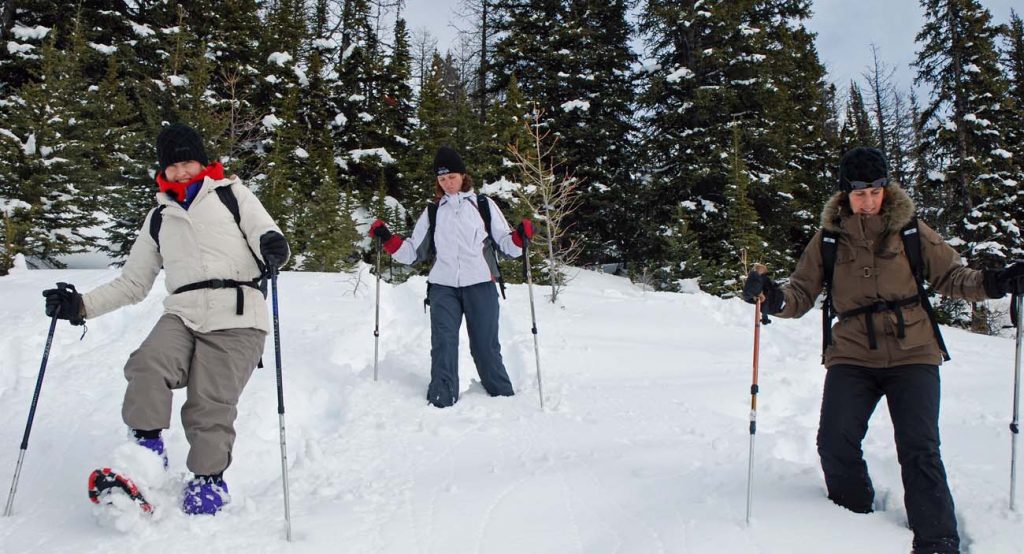 Snow Shoeing Canadian Rockies