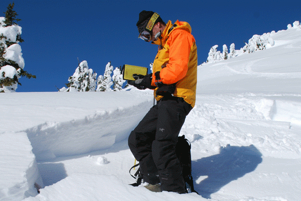 Avalanche Courses: AST 1