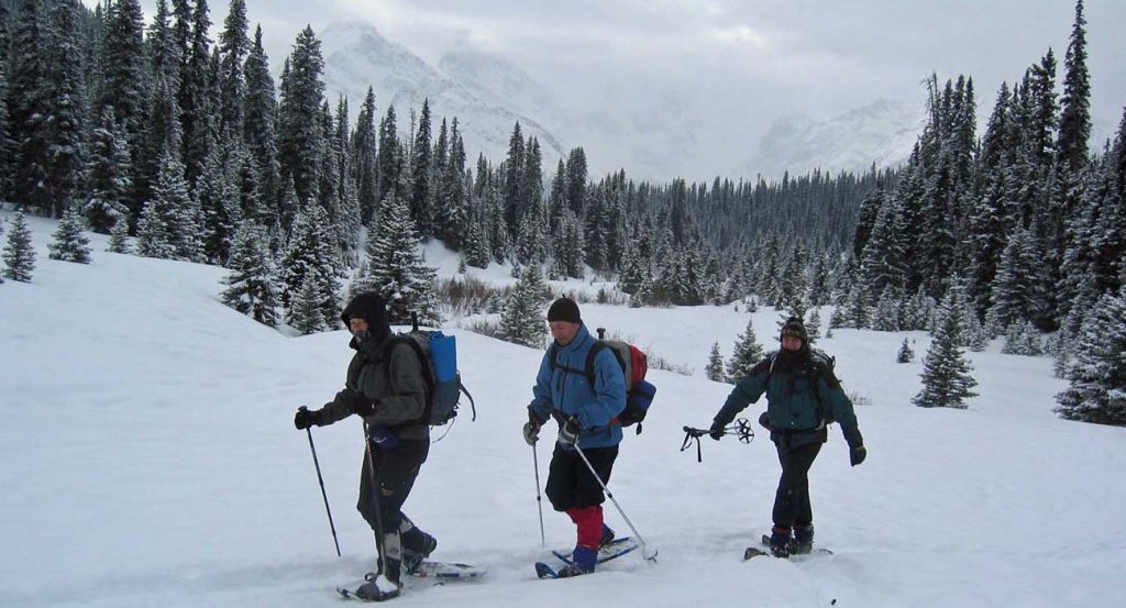 Snow Shoeing Canadian Rockies