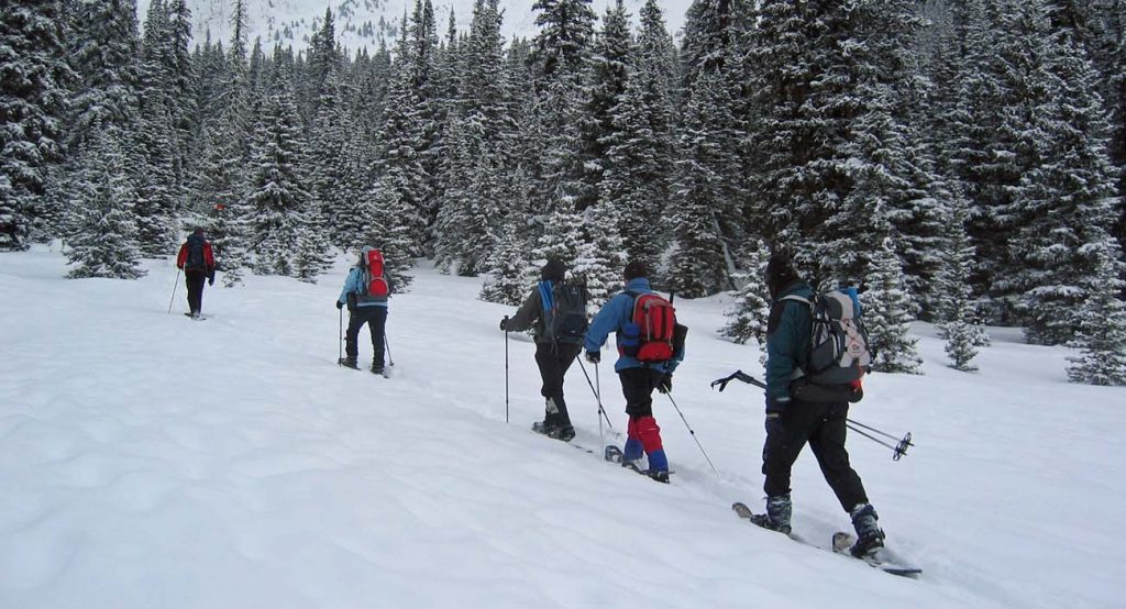 Snow Shoeing Canadian Rockies
