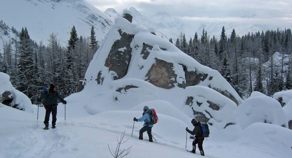 Snow Shoeing Canadian Rockies