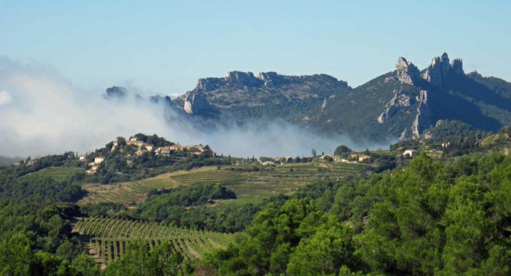 Provence Rock Climbing