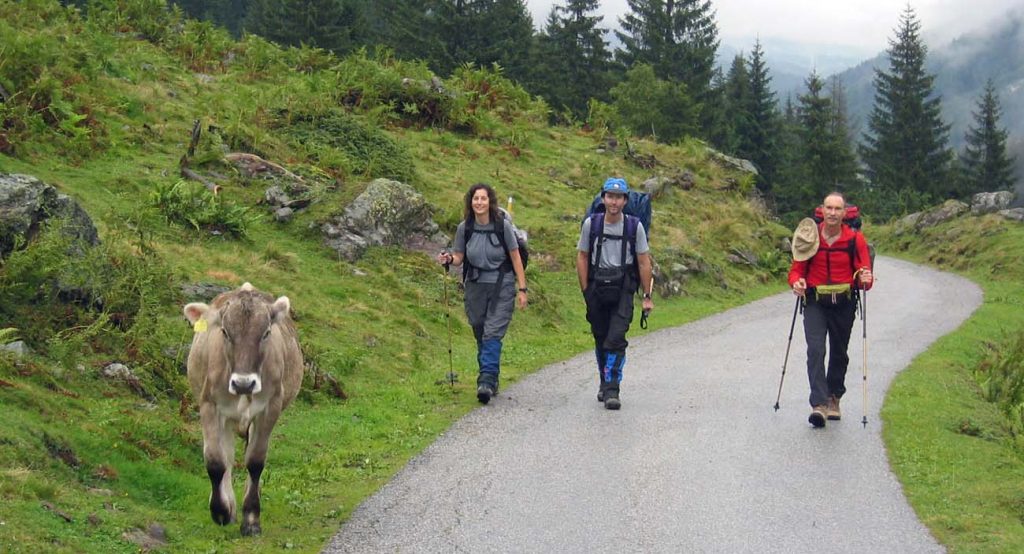 Stubai Alps High Route Trek
