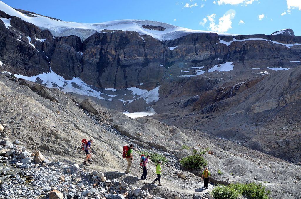 Wapta Ice Field Glacier Trek