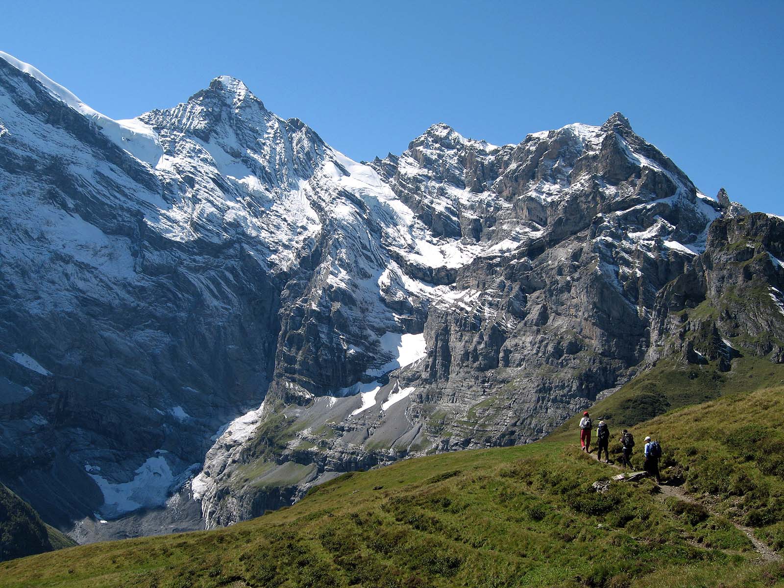 bernesealpstrek014 | OnTop