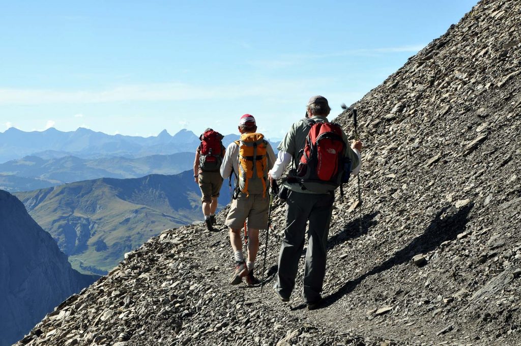 bernesealpstrek048