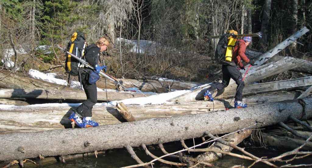 Canadian Wilderness Ski Traverses 19