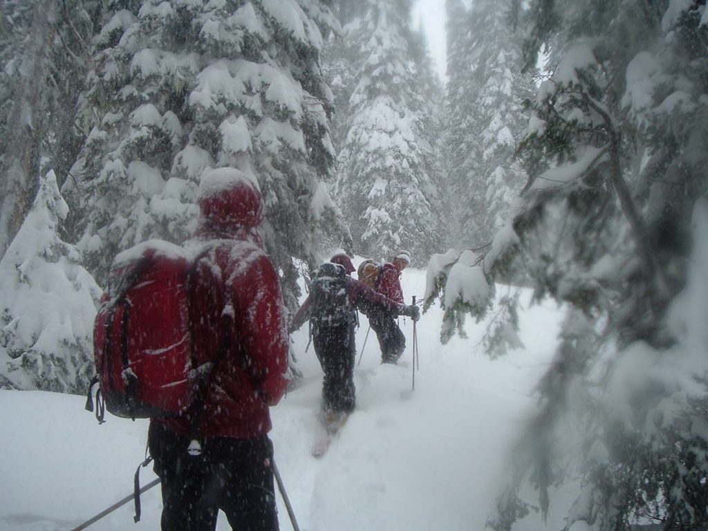 snow-at-rogers-pass-ocoine-1106