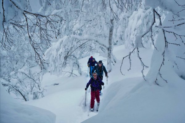 Japan Hokkaido Skiing