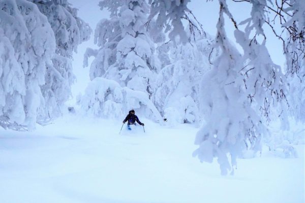 Japan Hokkaido Skiing