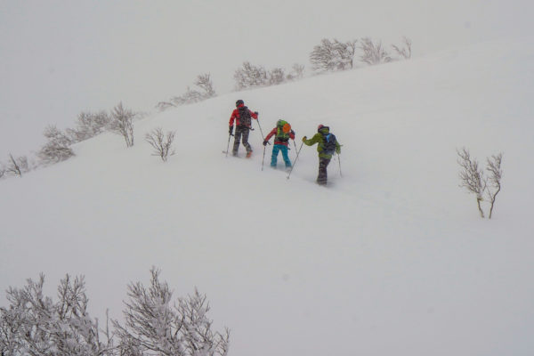 Japan Hokkaido Skiing