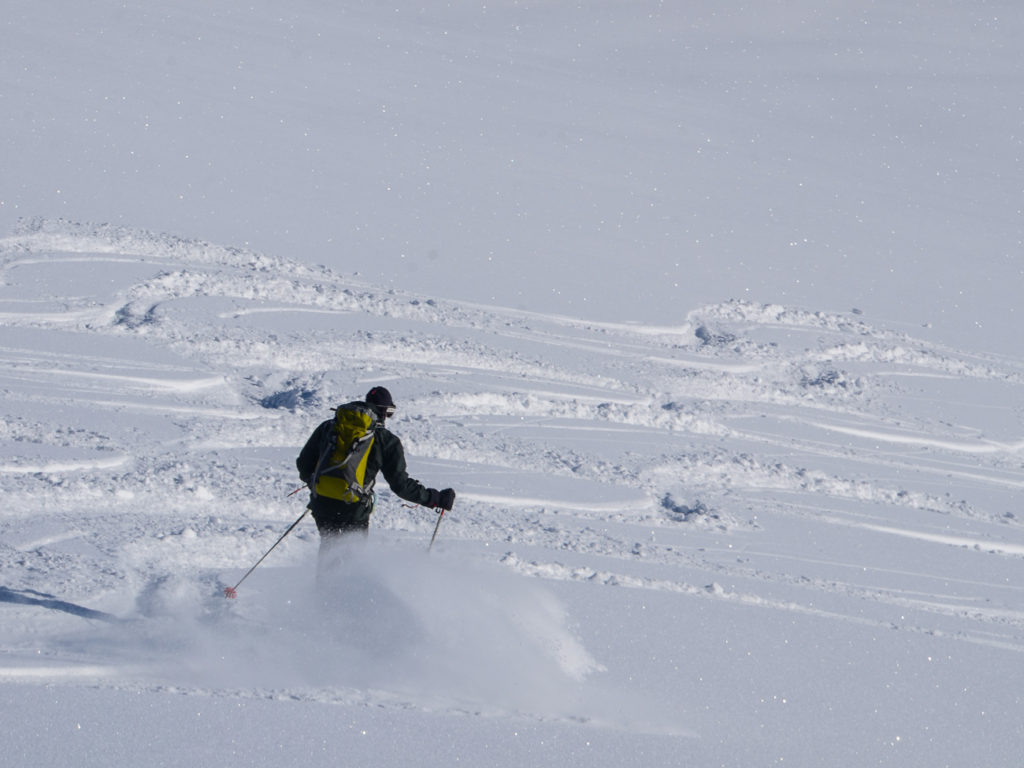 DaySkiToursCanadianRockies-0086