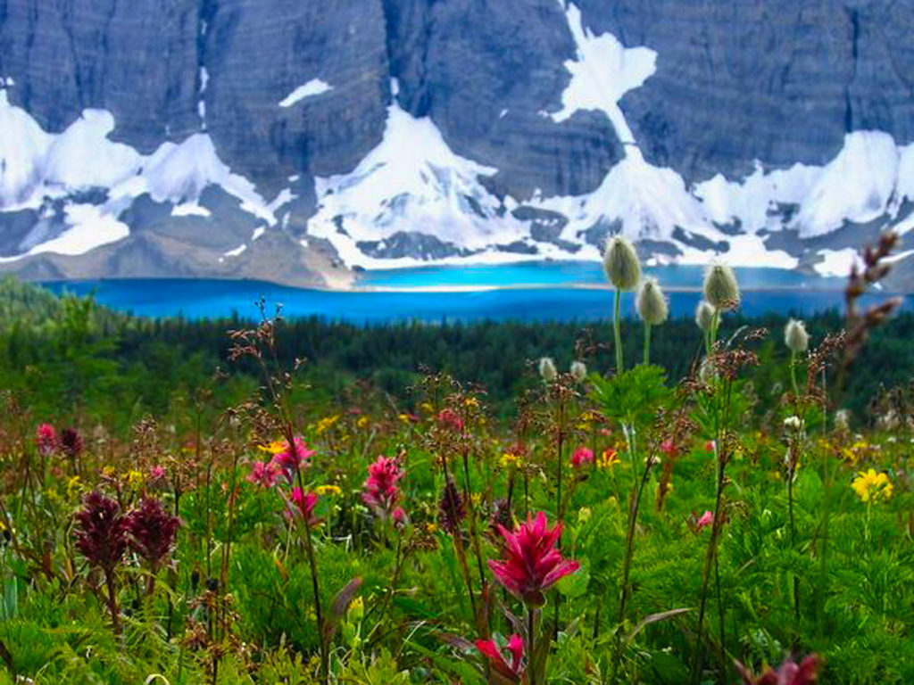 Canadian Rockies Backpacking