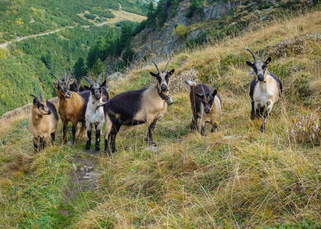 OetztalTrek-00243