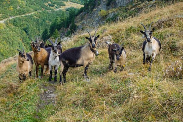 OetztalTrek-00243