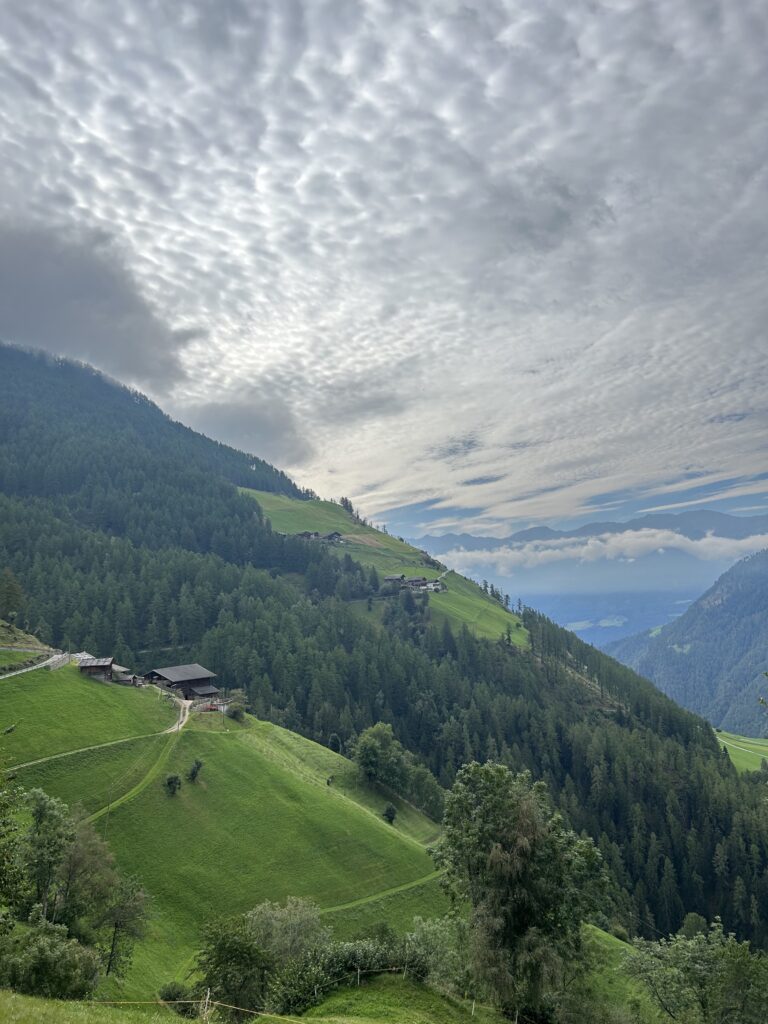 IMG_1013 merano high mountain trail