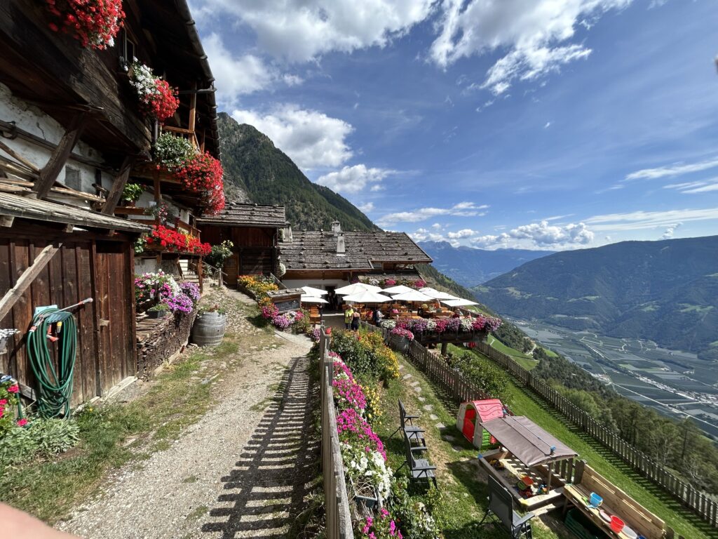 Merano High Mountain Trail _IMG_0941